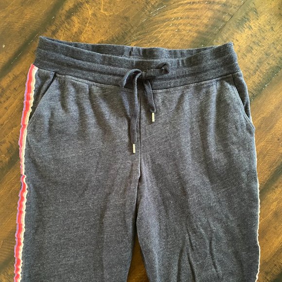 Sundry Sweatpants with Stripe Detailing - Picture 2 of 7
